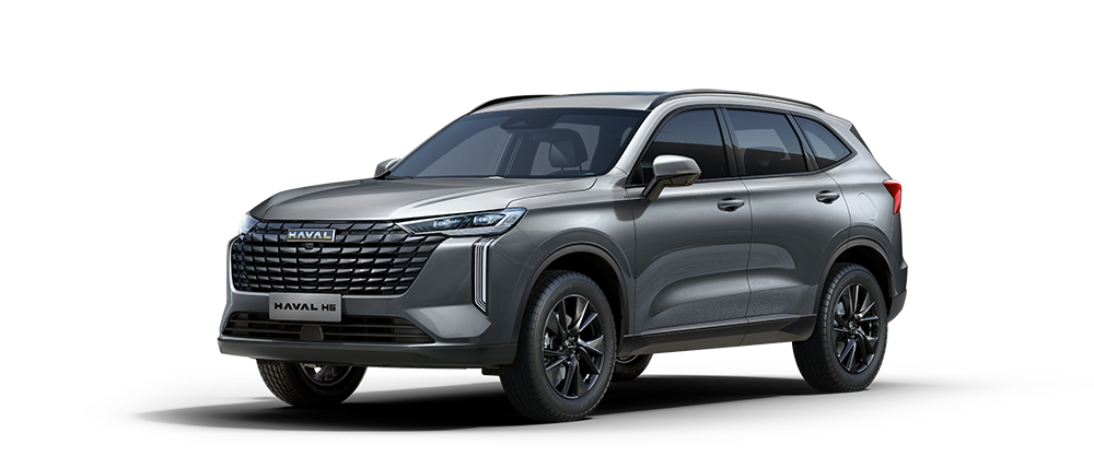 Haval H6 en Gris